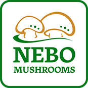 Nebo Mushroom Nebo Mushroom